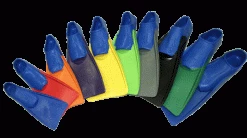 Pannell Swim Shop Rubber Training Fins East Bay Aquatics